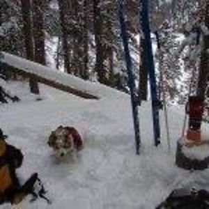 Meet your Posher, Jenny